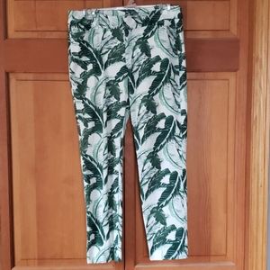 Green Leafy Pixie Pants